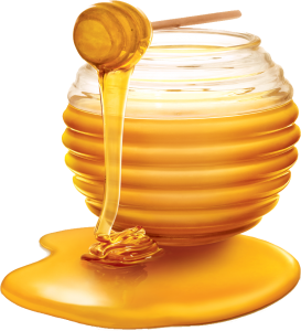 Honey PNG-11573